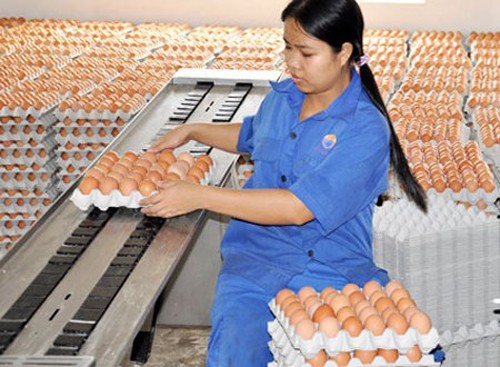 Hội trường cười ồ với quy định 'đếm trứng thu phí' - ảnh 1