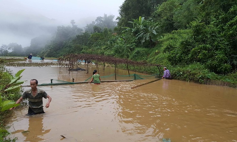 Vô tình bị kẹt trong lũ ở bản Hiêu - ảnh 2