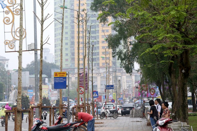 Đường phố Hà Nội trước và sau chặt hạ cây xanh - ảnh 10