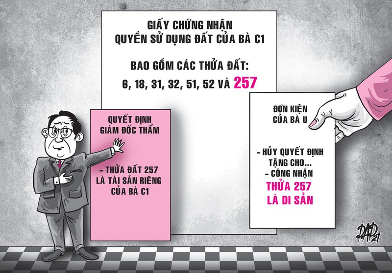 Dự thảo án lệ về hiệu lực hợp đồng tặng cho quyền sử dụng đất - ảnh 1