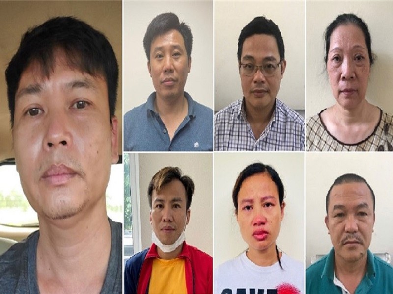 Lý do tổng giám đốc công ty cây xanh Hà Nội bị bắt - ảnh 1