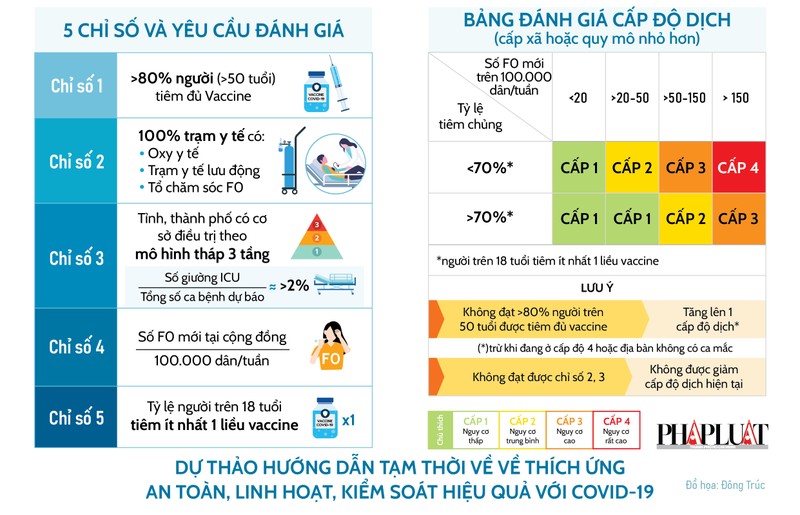 Chuyên gia góp ý các tiêu chí thích ứng an toàn với COVID-19 - ảnh 1