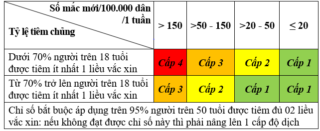 Điều chỉnh chiến lược, thích ứng an toàn với dịch COVID-19 - ảnh 2