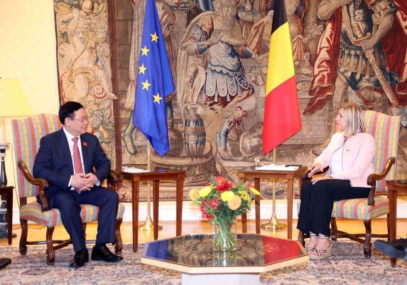 Chủ tịch Vương Đình Huệ đề nghị Bỉ sớm phê chuẩn Hiệp định EVIPA - ảnh 1