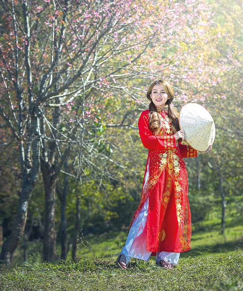 Ðộc đáo áo dài Tết năm Sửu - ảnh 3