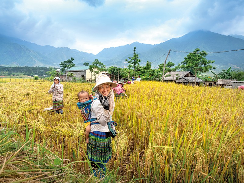 Những thung lũng buồn thiu - ảnh 1