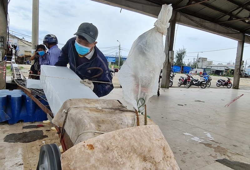 Lý do Quảng Ngãi không hỗ trợ lao động tự do bị ảnh hưởng bởi dịch COVID-19 - ảnh 1