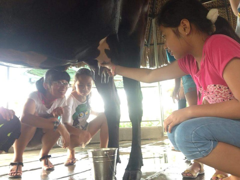 Chi tiền triệu mua mùa hè, kỹ năng sống cho con - ảnh 1