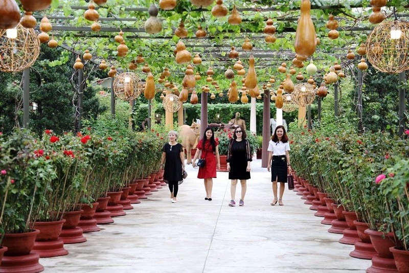 Người dân Nha Trang háo hức ngày mở cửa vườn mai xuân - ảnh 6