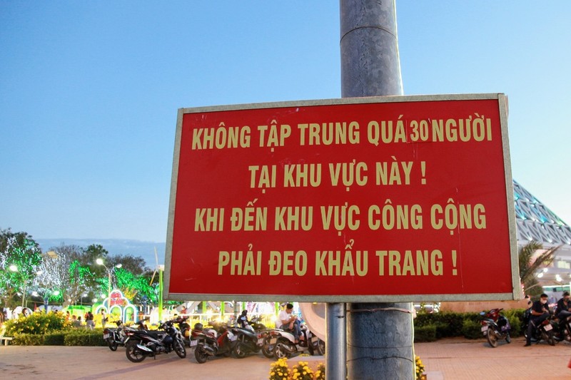 Ngắm vườn hoa xuân Tân Sửu 2021 đặc sắc tại Ninh Thuận - ảnh 8