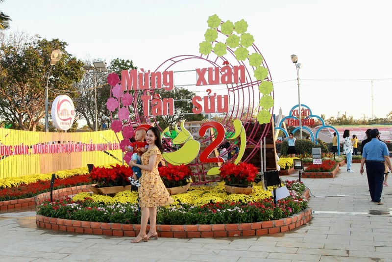 Ngắm vườn hoa xuân Tân Sửu 2021 đặc sắc tại Ninh Thuận - ảnh 2