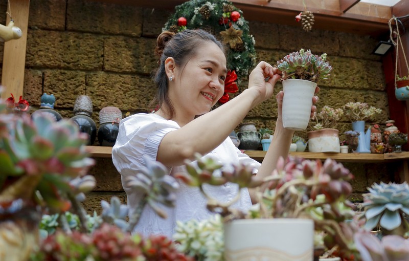 Ngắm vườn sen đá đẹp lung linh đón Tết ở Sài Gòn  - ảnh 11