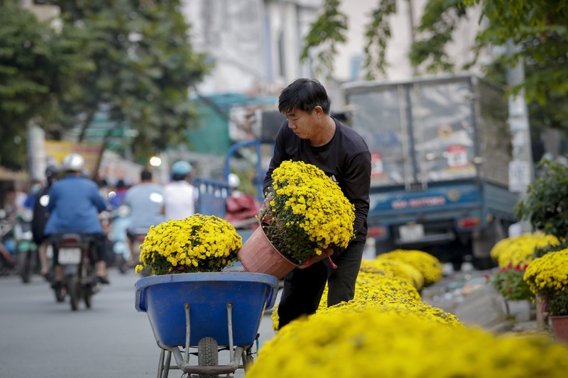 Ảnh: Ngắm làng hoa Sài Gòn cận tết Tân Sửu - ảnh 12