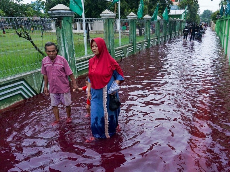 Indonesia: Nước lụt ngập đỏ như máu  - ảnh 1