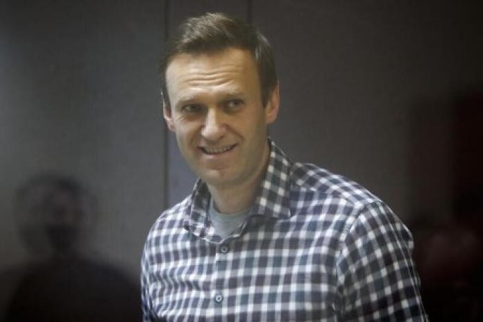 Chuyên gia LHQ cáo buộc Nga âm mưu ám sát ông Navalny - ảnh 1