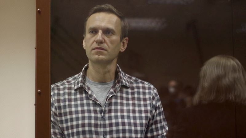 Chuyên gia LHQ cáo buộc Nga âm mưu ám sát ông Navalny - ảnh 3