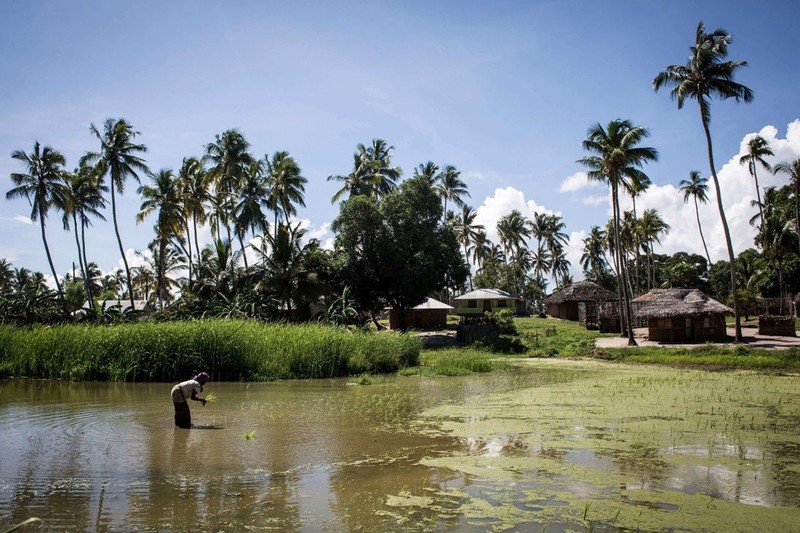 Mozambique: Phiến quân đánh sát trụ sở Total, nhiều người chết - ảnh 1