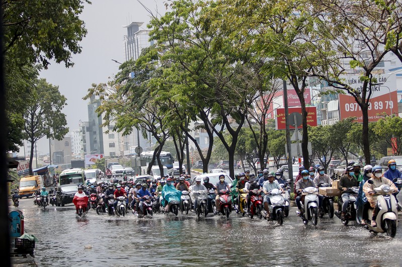 TP.HCM: Mưa nhỏ đầu mùa nhưng đường vẫn ngập - ảnh 1