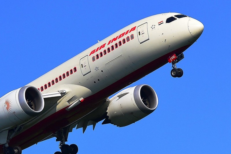 Máy bay Ấn Độ quay đầu giữa trời vì phát hiện dơi trong cabin - ảnh 1