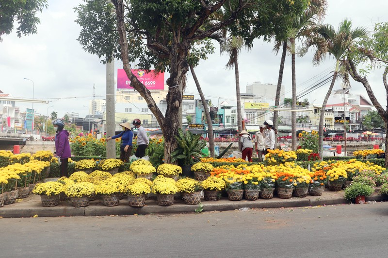 Cần Thơ: Chợ hoa ảm đạm ngày 29 Tết - ảnh 7