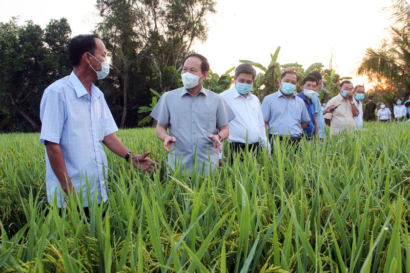 Bí thư Hậu Giang đề nghị cán bộ bắt tay ngay vào công việc - ảnh 2