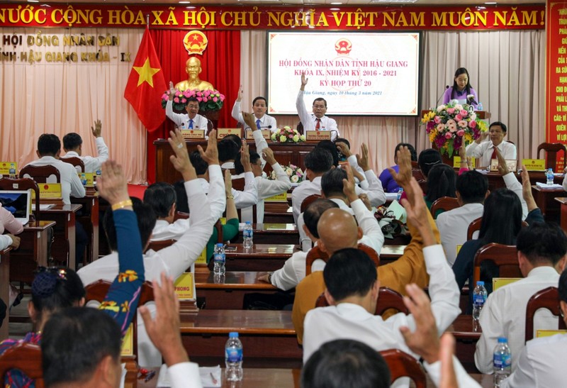 Hậu Giang cấm nuôi chim yến ở khu đô thị, khu dân cư - ảnh 1