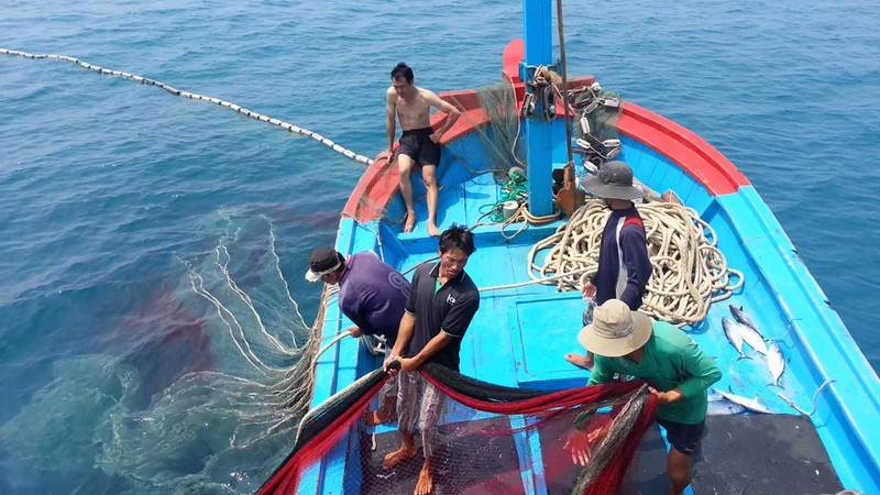 Lệnh cấm đánh bắt cá ở Biển Đông của Trung Quốc là vô giá trị - ảnh 1