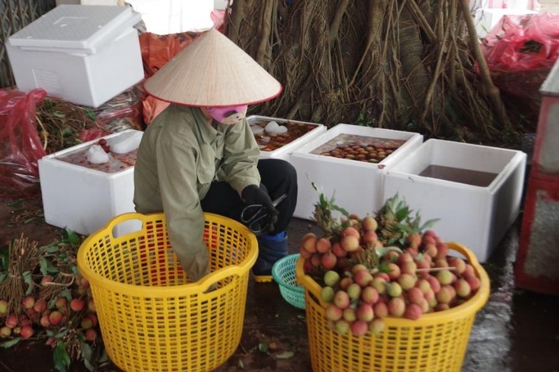 Bộ Công Thương kêu gọi hỗ trợ tiêu thụ nông sản Bắc Giang - ảnh 1