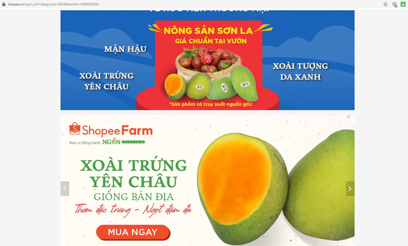 Đặc sản xoài tròn quý chính thức lên chợ online - ảnh 3