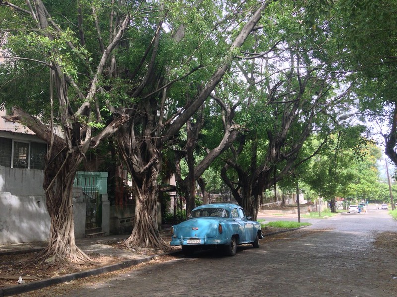 Đừng đến Cuba- bởi đi rồi rất nhớ! - ảnh 7