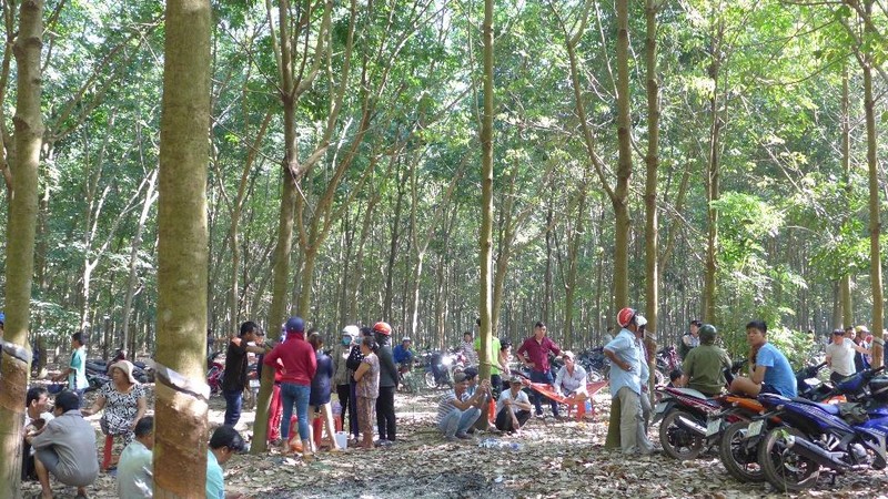 Lời khai rùng rợn của nghi can sát hại bé gái 4 tuổi - ảnh 1