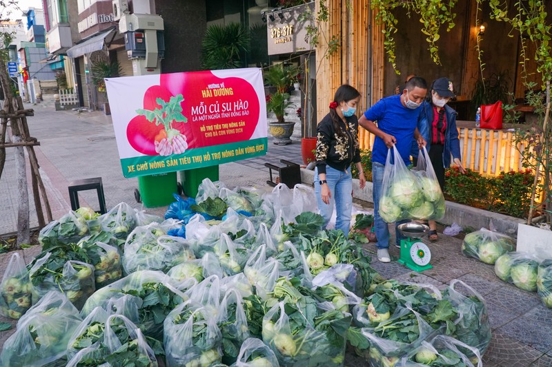 Người Đà Nẵng chung tay giải cứu nông sản Hải Dương - ảnh 1