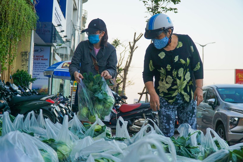 Người Đà Nẵng chung tay giải cứu nông sản Hải Dương - ảnh 3