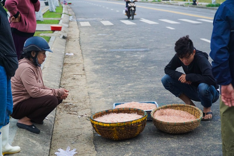 Ngư dân Đà Nẵng ra biển xúc ruốc kiếm tiền triệu mỗi ngày - ảnh 5