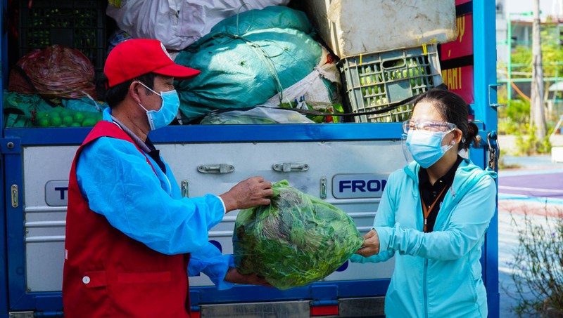 Nông dân Quảng Nam hái rau, góp gạo gửi vào tâm dịch Đà Nẵng - ảnh 6