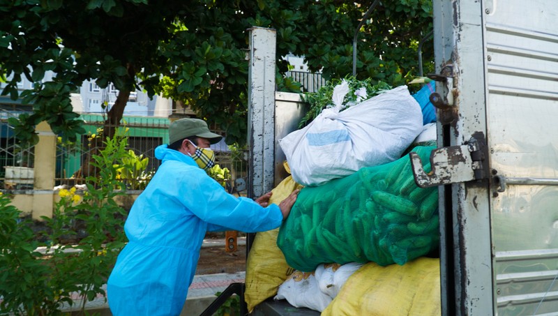 Nông dân Quảng Nam hái rau, góp gạo gửi vào tâm dịch Đà Nẵng - ảnh 4