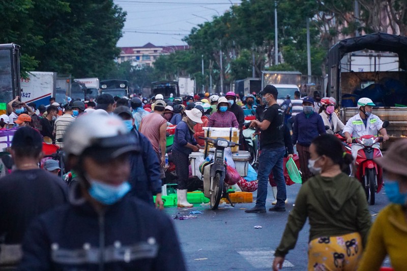 Tiểu thương ngại vào cảng cá Thọ Quang vì phí xét nghiệm cao - ảnh 1