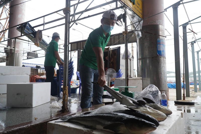 Tiểu thương ngại vào cảng cá Thọ Quang vì phí xét nghiệm cao - ảnh 5