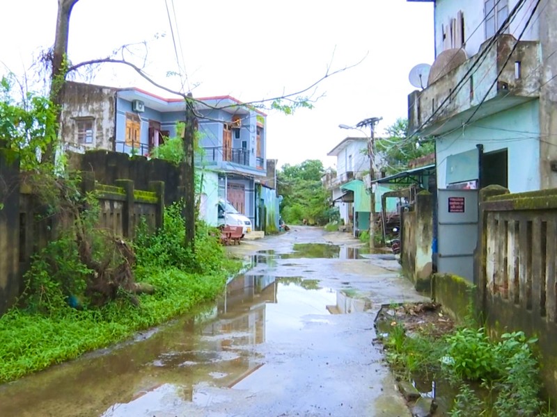 Đà Nẵng: Dân sống lay lắt tại vùng quy hoạch treo 20 năm - ảnh 1