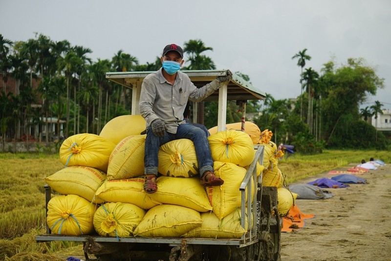 Đà Nẵng: Lên phương án chống bão cho các gia đình F0, F1 đi cách ly tập trung - ảnh 2