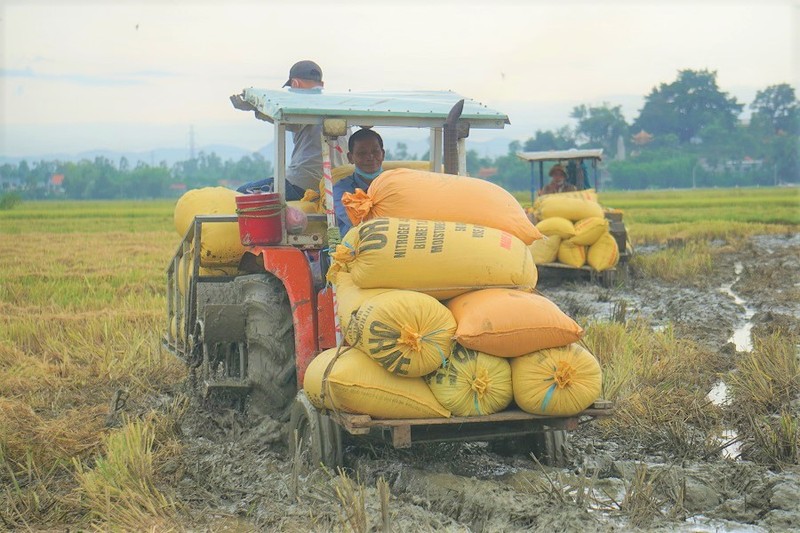 Đà Nẵng: Lên phương án chống bão cho các gia đình F0, F1 đi cách ly tập trung - ảnh 1