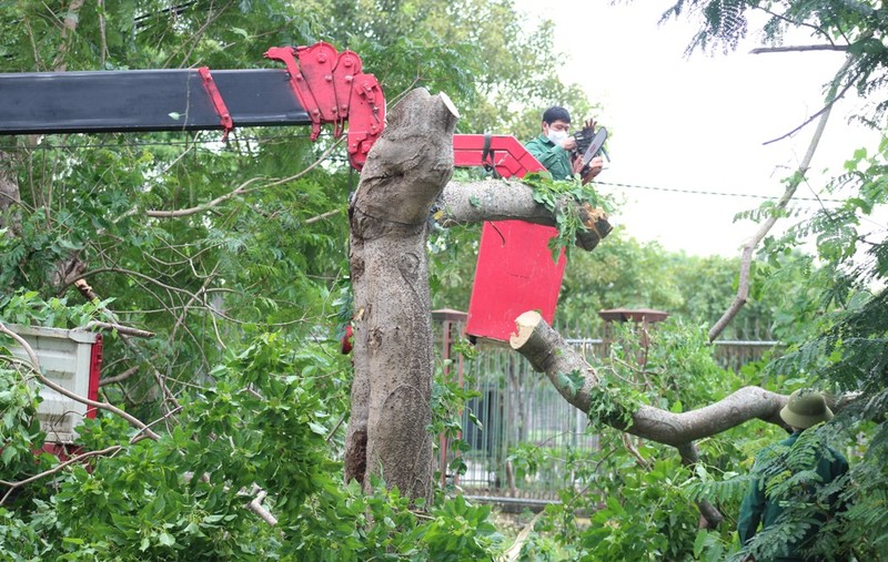 Nghệ An, Hà Tĩnh: Ứng phó với bão Conson, đảm bảo an toàn cho các khu cách ly - ảnh 3