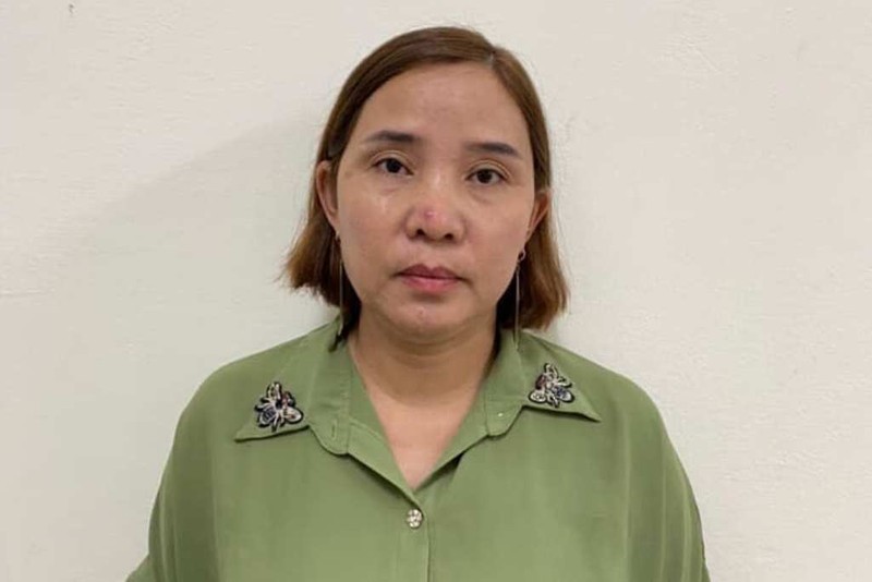 Người phụ nữ liên quan vụ lừa đảo tại Bình Dương bị bắt ở Hà Tĩnh - ảnh 1