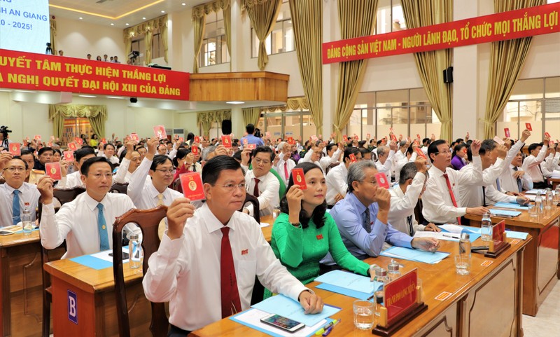 Bà Võ Thị Ánh Xuân tái đắc cử Bí thư Tỉnh ủy An Giang - ảnh 1