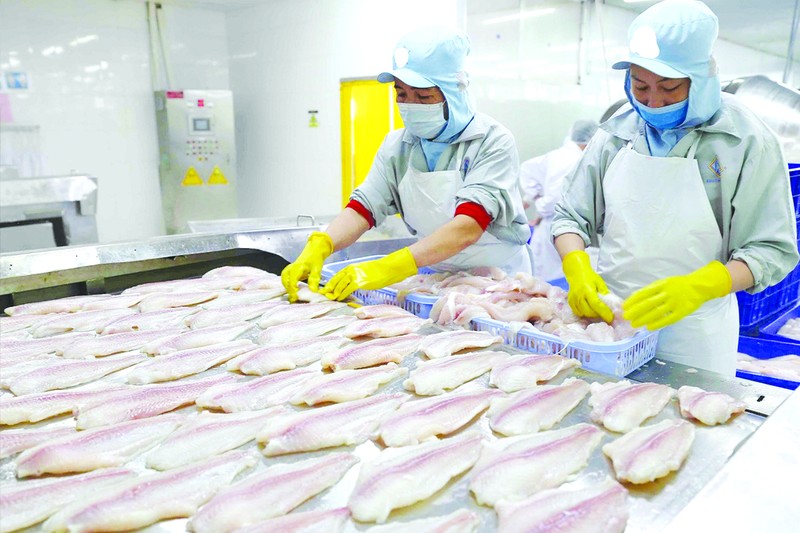 Nông, thủy sản Việt kẹt đường sang Trung Quốc - ảnh 1