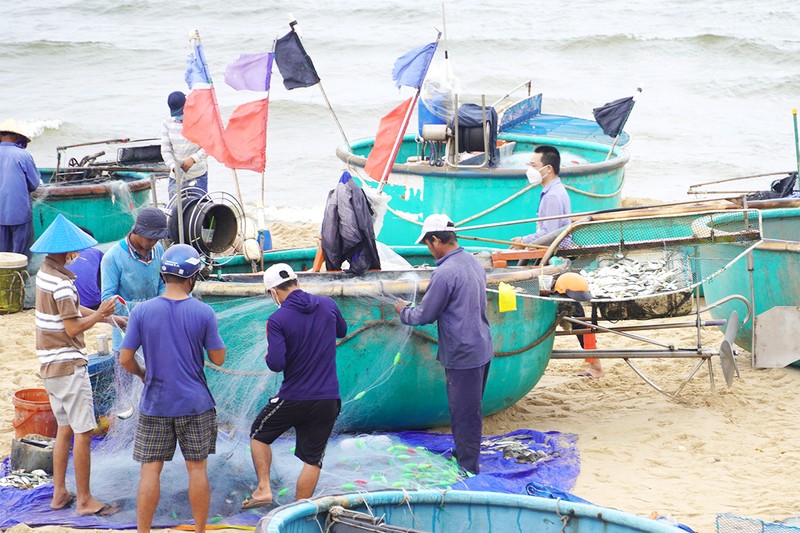 Bà Rịa-Vũng Tàu kiến nghị sửa đổi việc hỗ trợ lao động - ảnh 1