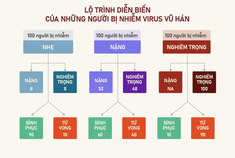 Gợi ý mô hình cho TP.HCM tìm F0 có nguy cơ bị nặng - ảnh 2