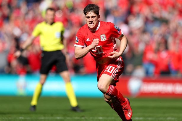 Daniel James: 'Tôi chiến đấu vì cha và người hâm mộ Xứ Wales' - ảnh 3