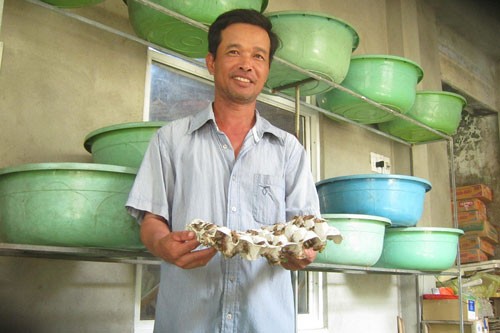 Anh Nguyễn Văn Hưng bên khay dế vàng đã được vài tuần tuổi Anh Nguyễn Văn Hưng bên khay dế vàng đã được vài tuần tuổi