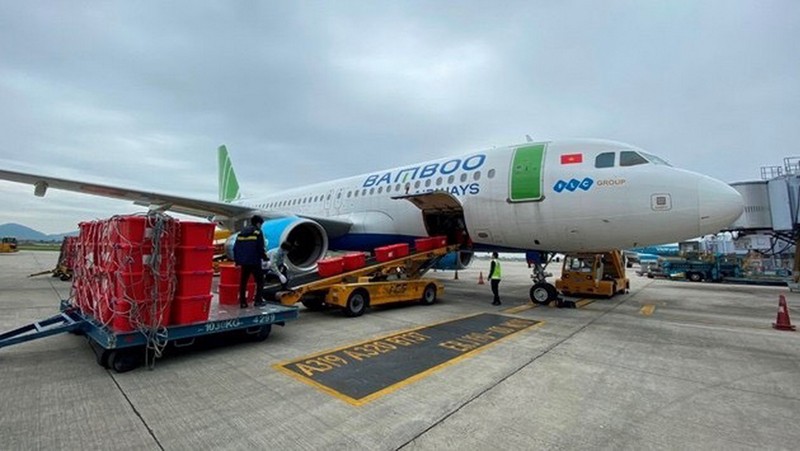 Bamboo Airways tiếp sức Bắc Giang vận chuyển vải thiều - ảnh 1